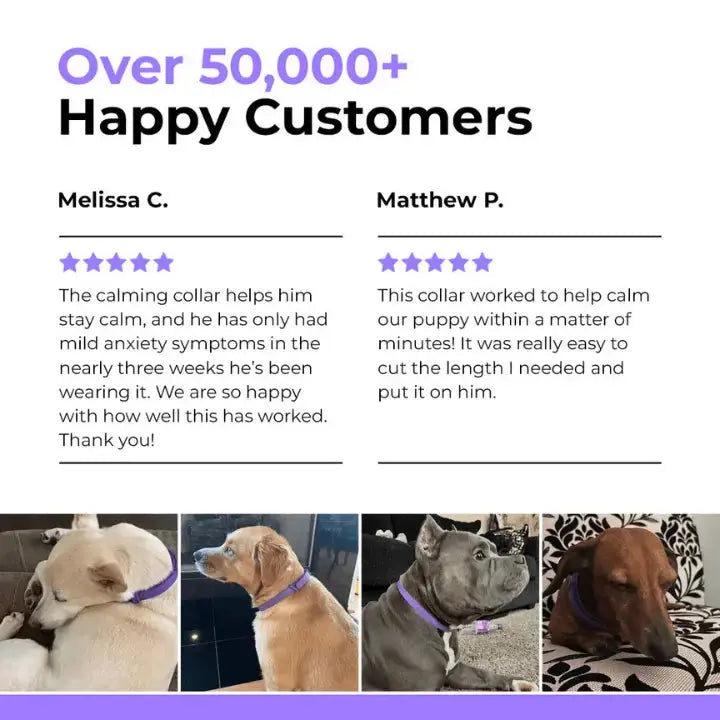 PawLax Collar